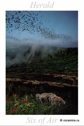 Nature Tarot by Jan Strube